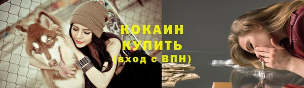 каннабис Беломорск