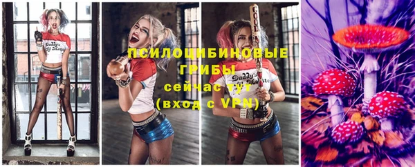 ГАЛЛЮЦИНОГЕННЫЕ ГРИБЫ Белоозёрский