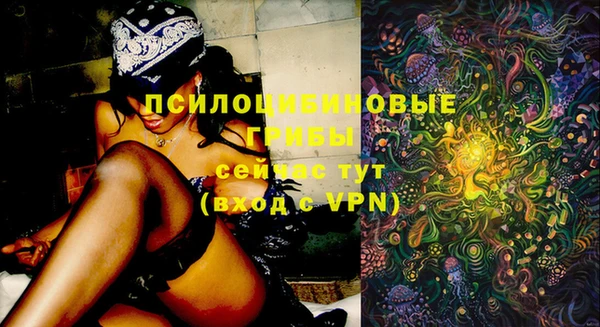 ГАЛЛЮЦИНОГЕННЫЕ ГРИБЫ Белоозёрский
