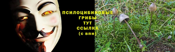 герыч Белокуриха
