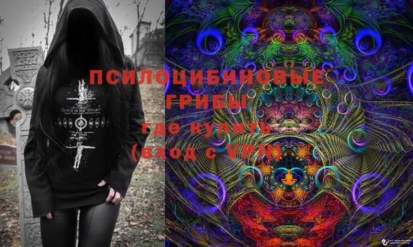 ГАЛЛЮЦИНОГЕННЫЕ ГРИБЫ Белоозёрский