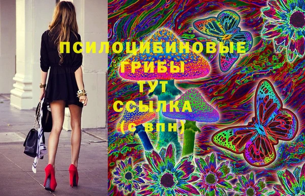 ГАЛЛЮЦИНОГЕННЫЕ ГРИБЫ Белоозёрский